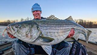 THE HOLY GRAIL OF STRIPED BASS FISHING 50+ INCH GIANT CAUGHT ON FILM