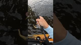 This FISH Spun My Kayak