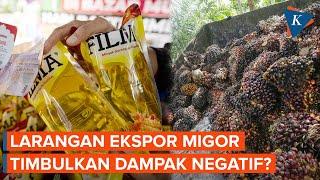 Jokowi Akui Larangan Ekspor Minyak Goreng Bakal Timbulkan Dampak Negatif