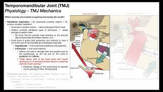 Temporomandibular Joint   Biomechanics Part 22