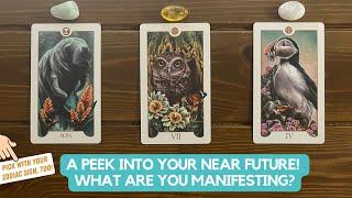 A Peek Into Your Near Future What Are You Manifesting?