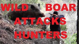 TOP 5 │WILD BOAR ATTACKS HUNTERS