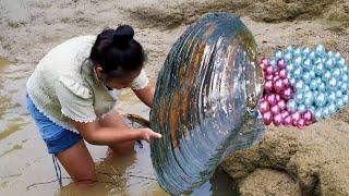 Exploring a huge clam in the dry river containing a large number of noble rose red and blue pearls