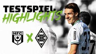 Highlights Hallescher FC - Borussia  FohlenHighlights