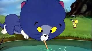 Tom and Jerry cartoon - Just Ducky Best moments