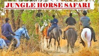 MOUNTAIN & FOREST HORSE SAFARI at SARA STUD & FARM  Bhiwandi  Maharashtra