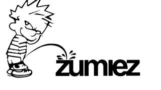 Why People Hate Zumiez...