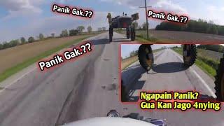 Tiktok In Real Life - ngapain Panik gua kan jago - Korban Nmax Barbar - Crazy Ride Cam