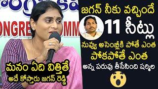 YS Sharmila Serious Comments On YS Jagan  YS Sharmila Press Meet  AP Assembly  News Buzz