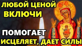 Самая Сильная молитва Богородице в этот день Помогает исцеляет и дает силы Православие
