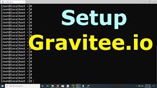 How to Setup Gravitee.io
