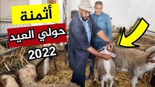 أثمنة حولي عيد الأضحى في البطوار الحي المحمدي 2022