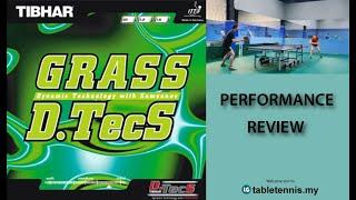 Tibhar Grass D.Tec Performance Review