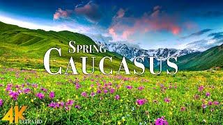 Spring Caucasus Mountains 4K Ultra HD • Stunning Footage Scenic Relaxation Film with Calming Music.