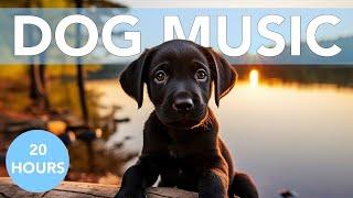 AD FREE ASMR Relaxation Music for Anxious Dogs