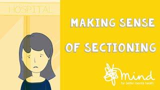 Making sense of sectioning