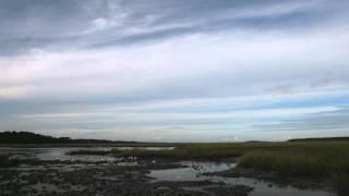 Time Lapse of the Salt Marsh at Low Tide