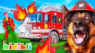 Fire-fighting Dogs Compilation for Kids  Educational Videos For Children  Kidibli