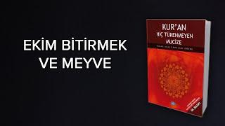 EKİM BİTİRMEK VE MEYVE Kuranda Kelime Uyumlarındaki Matematiksel Mucizeler