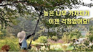 늘봄네 추석맞이 가드닝 높은 나무 가지치기와 온실 공간 만들기 가성비 좋은 무선 충전식 셀바 전동 전지가위와 연장대로 쉽고 편리하고 안전하게정원가꾸기 필수템