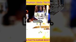 Amazing Human Body Facts #facts #shorts #science#humanefacts