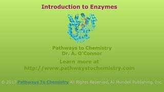 Introduction to Enzymes Biological Catalysts