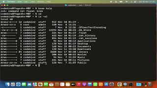 How to Install Homebrew in a right way for Mac macOS M1M2M3 With zsh