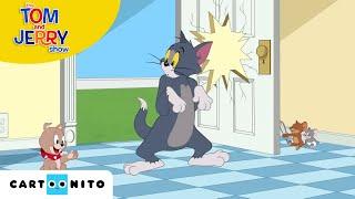 Tom ve Jerry  Misafir Fare  Cartoonito Türkiye