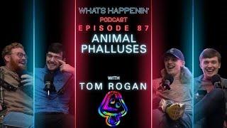 ANIMAL PHALLUSES W TOM ROGAN - What’s Happenin’ Podcast EP - 87