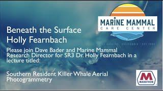 Beneath The Surface Southern Resident Killer Whale Aerial Photogrammetry