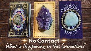 No Contact  What is HAPPENING in THIS Connection  Pick a card Tarot love reading