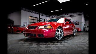 2004 Ford Mustang Cobra Terminator Bone Stock Supercharged 4 6L V8 6 Speed Tremec Manual