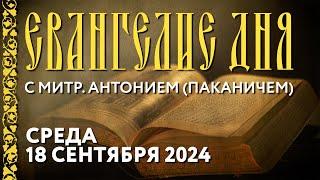 Толкование Евангелия с митр. Антонием Паканичем. Среда 18 сентября 2024 года.