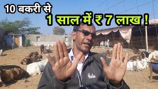 10 बकरी 1 साल में 7 लाख कमाकर देती है  10 bakri kitna profit deti hai  sukant chawla  pkraj vlogs