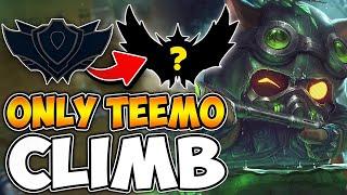 Teemo from Unranked to High Elo Returns HOW HIGH CAN I CLIMB WITH TEEMO?