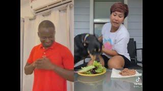 Forcing a Dog To Be Vegetarian Goes Wrong