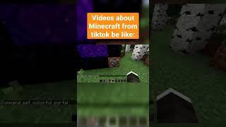 Videos about Minecraft from tiktok be like