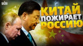 Посмотрите Китай нагло ПОЖИРАЕТ Россию. Си выжал из Путина все соки  Шейтельман