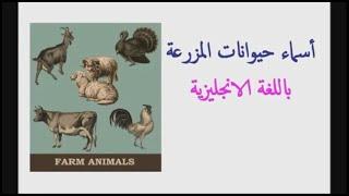 تعلم أسماء حيوانات المزرعة باللغة العربية والانجليزية - Learn Farm Animals Names