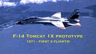 Grumman F-14 Tomcat 1X prototype - first 3 flights Aug-Sept 1971