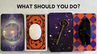  WHAT SHOULD YOU DO in This Connection?  Stay? Move On?  PICK A CARD Timeless Tarot Love Reading