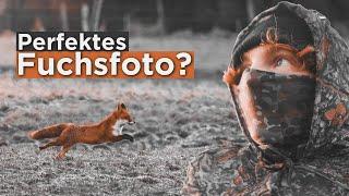 Meine Reise zum perfekten Fuchsfoto  Teil 1  Wildlife Fotografie