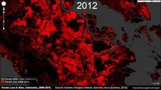 Forest Loss in Riau Indonesia 2000-2012