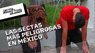 Las sectas más peligrosas de México