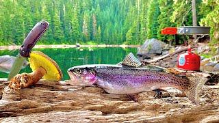 WILD Mountain Trout Fishing & Mushroom Foraging 72H SOLO Catch Cook Camp
