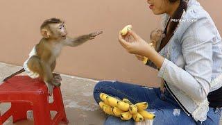 Small Donal With Cute Hand Request Banana  Donal Talk To Mom Ask Fruit