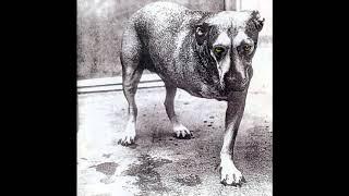 Alice In Chains - Alice In Chains Full album