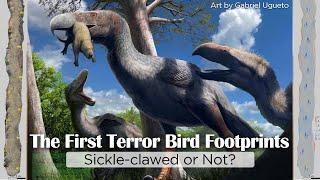 The First Terror Bird Footprints