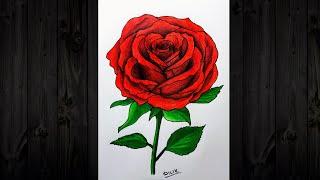 ROSE FLOWER Drawing Easy Step by Step  ATIRGUL Rasmini chizish. Chiroyli va Oson