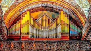 Bach. 5 Organ Masterpieces  Бах. 5 органных шедевров  Bach. 5 Meisterwerke der Orgel